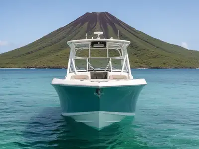 2017 Sailfish 275 DC