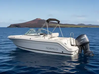 2007 Robalo 227 DUAL CONSOLE
