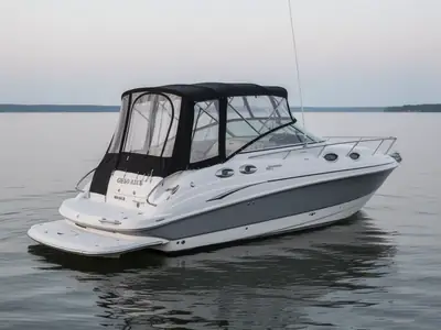 2010 Glastron GS-289