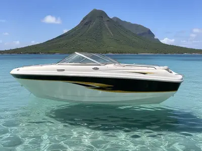 2002 Chaparral 196 SSI