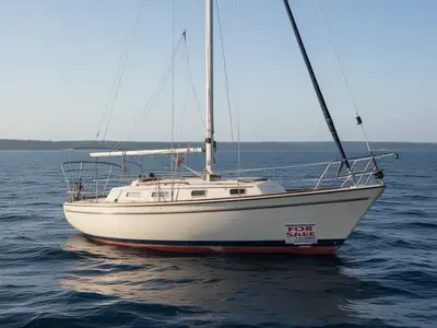 1986 Pearson 303