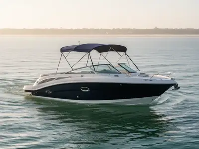 2010 Sea Ray 260 Sundeck