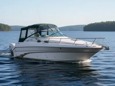 1999 Sea Ray Sundancer 270