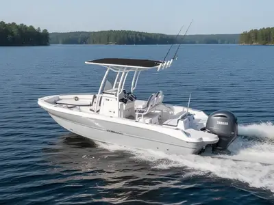 2025 Stingray 216 Cc
