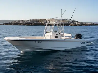 2009 Boston Whaler 230