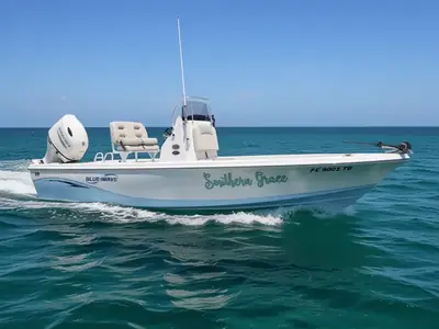 2021 Blue Wave 2200 Pure Bay