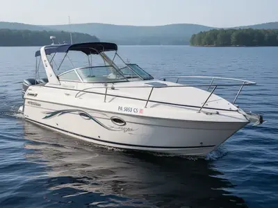 2004 Rinker Fiesta Vee 270