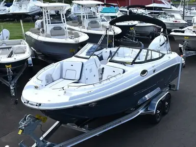 Stingray 231DC