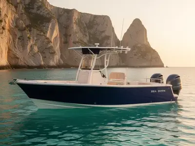 2020 Sea Ray 24