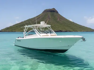 2022 Sailfish 245 DC