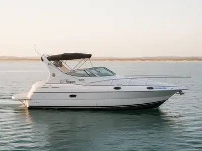 1999 Cruisers 3075 ROGUE