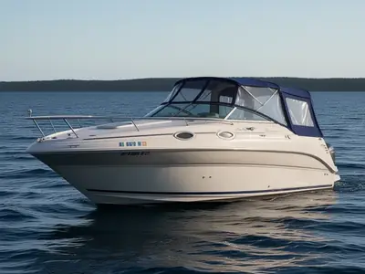 Sea Ray 240 Sundancer