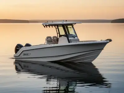 2024 Boston Whaler 250 Outrage