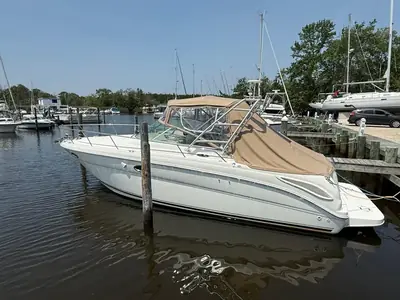 Sea Ray 290 Amberjack
