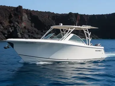 2020 Sailfish 275 DC