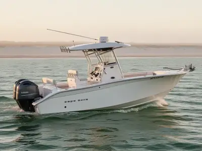 2017 Cape Horn 24XS