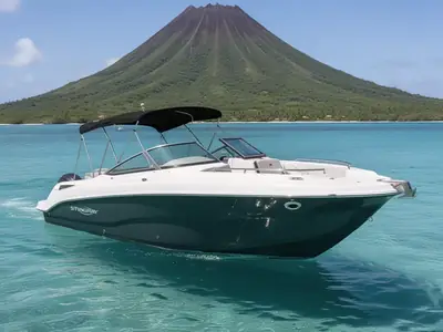 2026 Stingray 231 DC