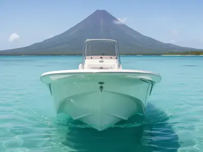 2026 Carolina Skiff 25 LS