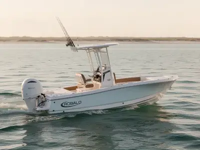 2026 Robalo 246 Cayman
