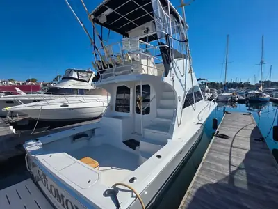 2002 Luhrs Corp 34 CONVERTIBLE