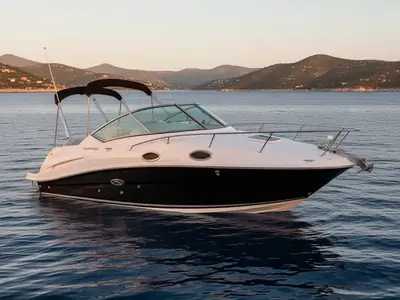 Sea Ray 240 Sundancer