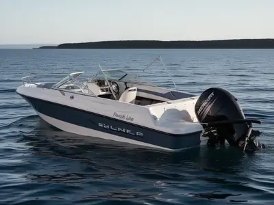 2012 Bayliner Corp 190