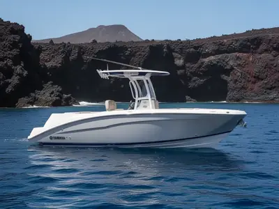2026 Yamaha 252 FSH Sport