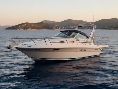 1994 Sea Ray Sundancer 250