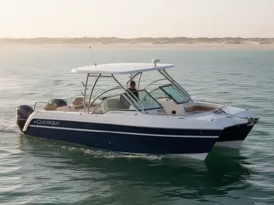 2018 WorldCat Glacier Bay Edition 2740 Dual Console