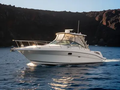 Sea Ray 290 Amberjack