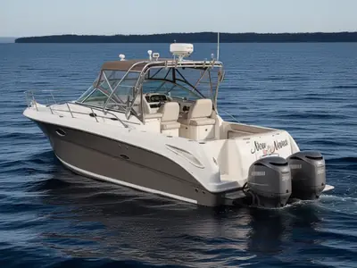 Sea Ray 290 Amberjack