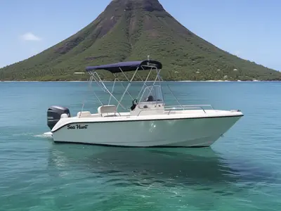 2008 Sea Hunt TRITON 202