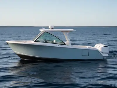 2023 Sailfish 316 DC
