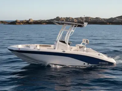 2026 Yamaha 190 FSH Sport