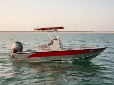 2020 Avid 23 FS