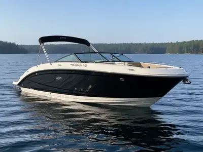 2019 Sea Ray SDX 270