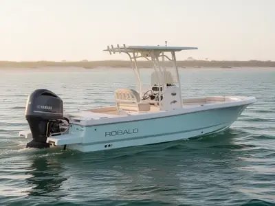 2017 Robalo 246 Cayman