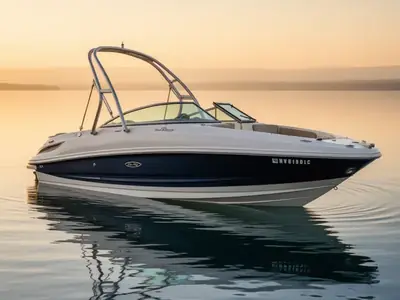 2010 Sea Ray 230 SUNDECK