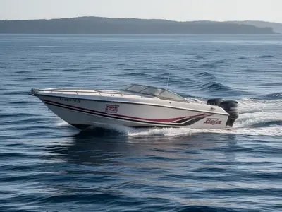 Baja 250 ES