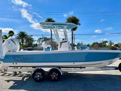 Robalo 246 Cayman