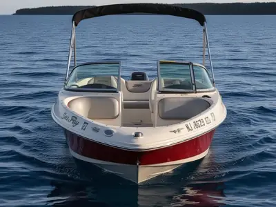 2008 Sea Ray 175 SPORT