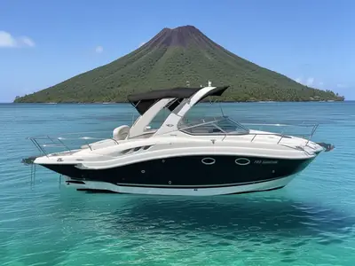 2011 Chaparral 270 Signature