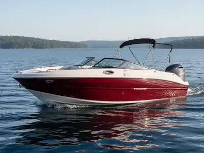 2025 Stingray 231 DC