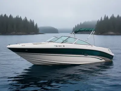 Sea Ray 240 BOW RIDER