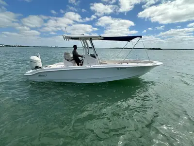 2024 Boston Whaler 250 Dauntless