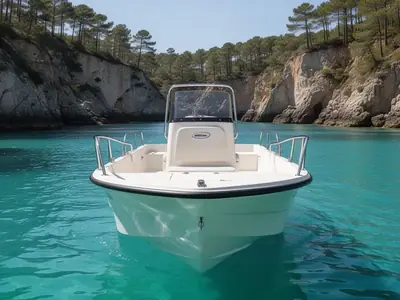 2015 Boston Whaler 170 Montauk
