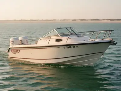 1998 Boston Whaler 21