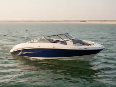 2009 Yamaha SX210