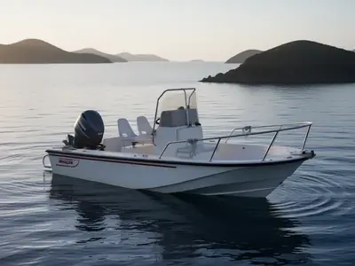 Boston Whaler 19