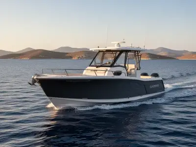2023 Blackfin 252 DC